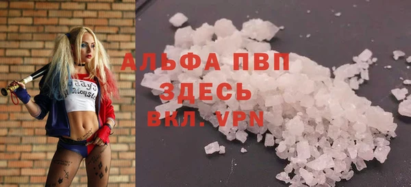 тгк Абаза