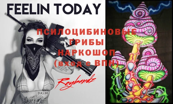 тгк Абаза