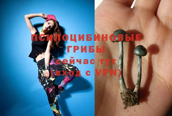 apvp Абинск