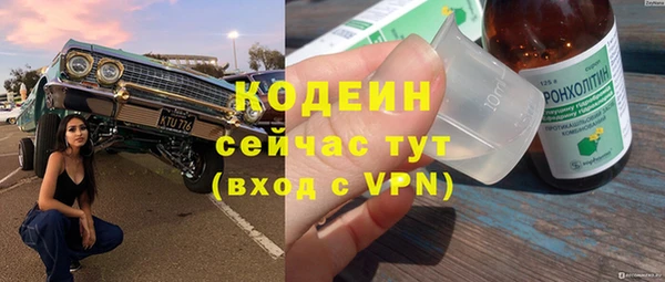 тгк Абаза